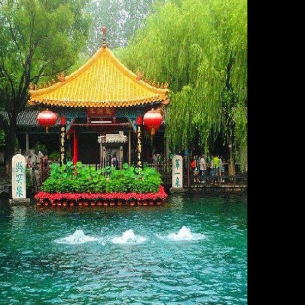 趵突泉 - 图片8