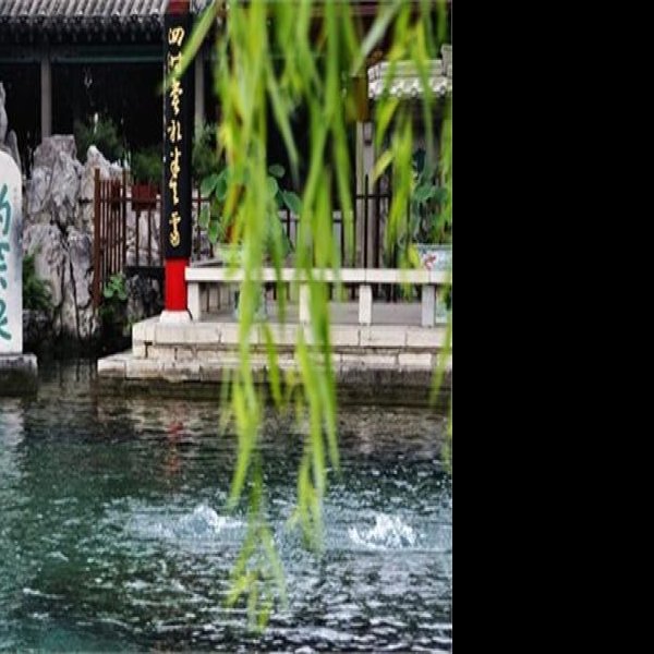 趵突泉 - 图片9