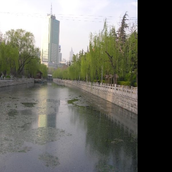 济南护城河 - 图片2