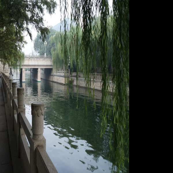 济南护城河 - 图片7