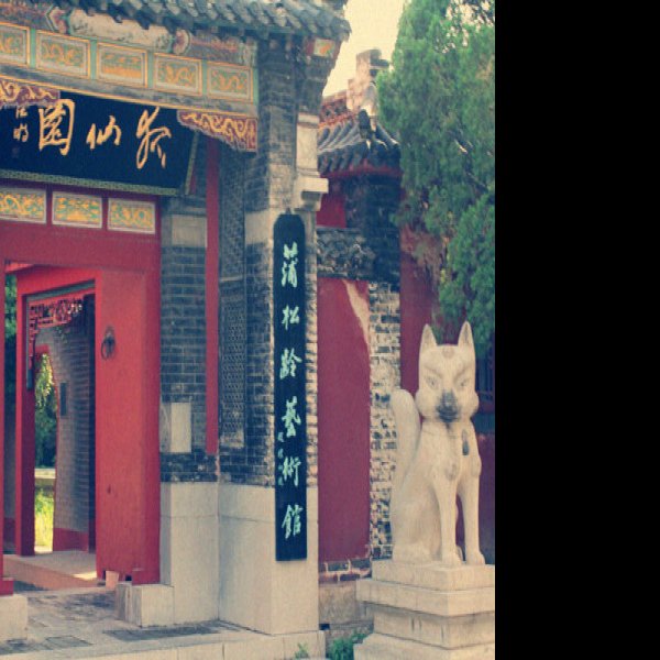 淄博蒲松龄故居 - 图片9