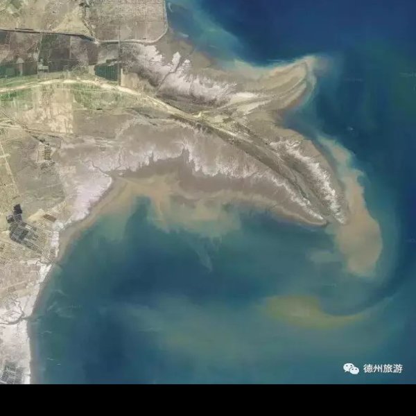 东营黄河入海口 - 图片1