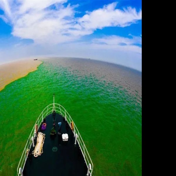 东营黄河入海口 - 图片9