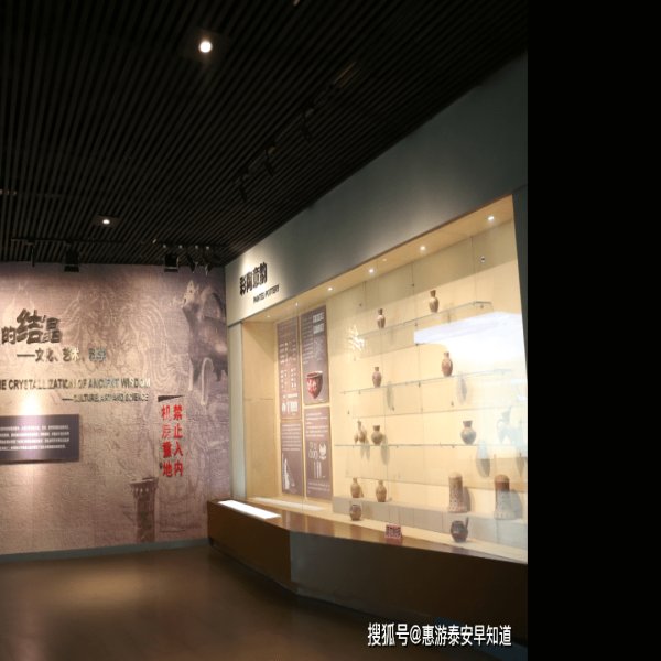 泰安博物馆 - 图片8