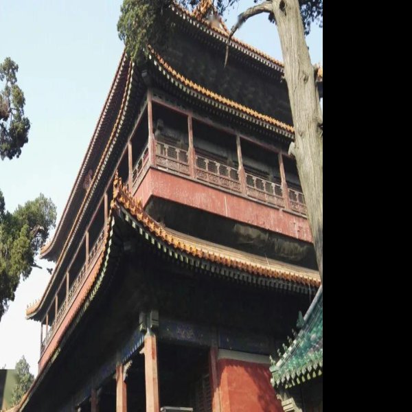 曲阜孔庙奎文阁 - 图片10