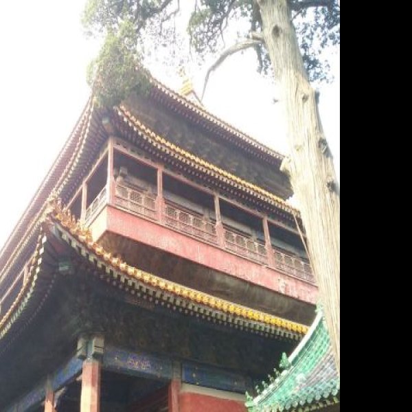 曲阜孔庙奎文阁 - 图片8