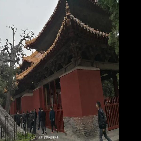 曲阜孔庙奎文阁 - 图片9
