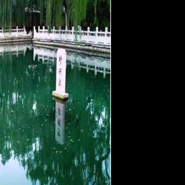 济南珍珠泉 - 图片1