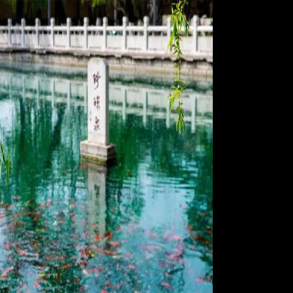 济南珍珠泉 - 图片3