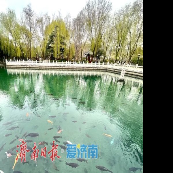济南珍珠泉 - 图片4