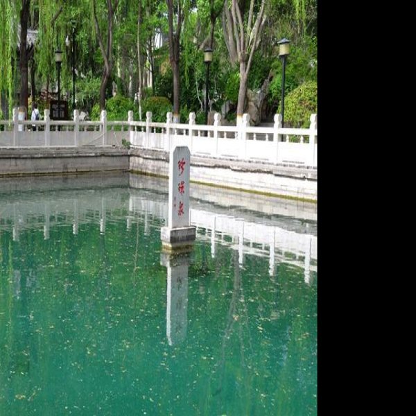 济南珍珠泉 - 图片6