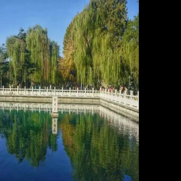 济南珍珠泉 - 图片8