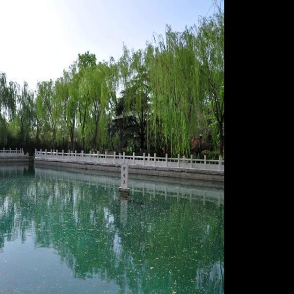 济南珍珠泉 - 图片9