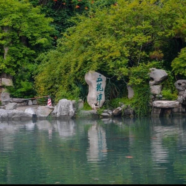 济南五龙潭 - 图片8