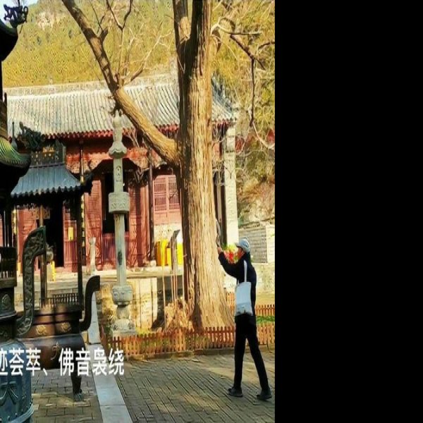 济南灵岩寺千佛殿 - 图片7