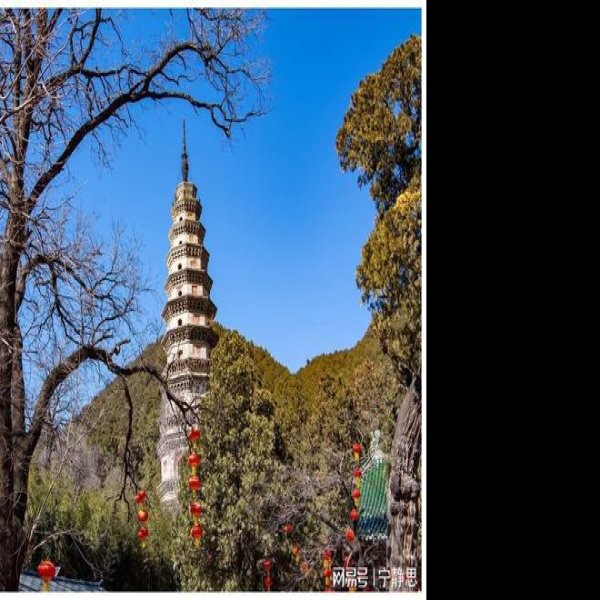 济南灵岩寺辟支塔 - 图片10