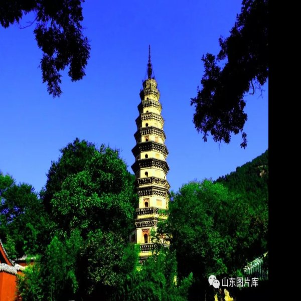 济南灵岩寺辟支塔 - 图片4