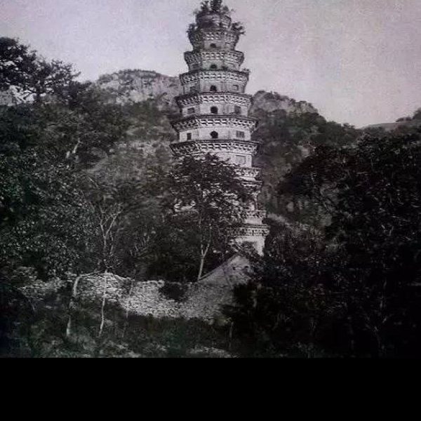 济南灵岩寺辟支塔 - 图片7