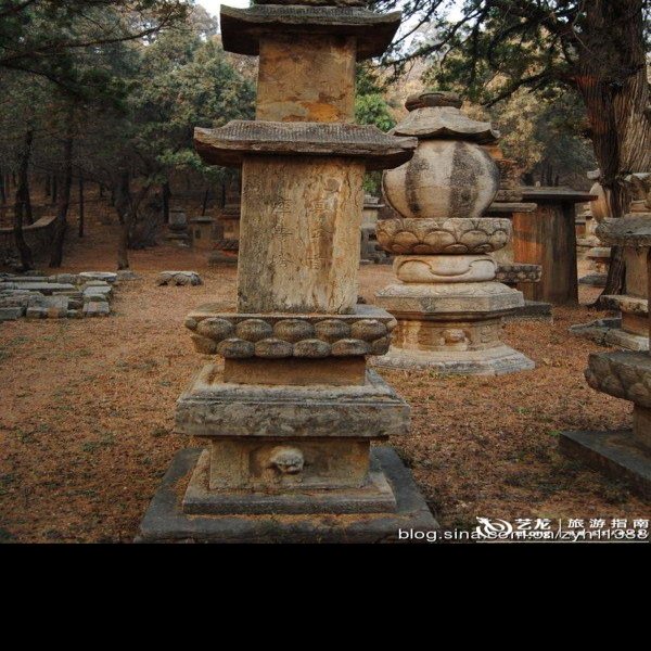 济南灵岩寺墓塔林 - 图片10