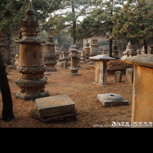 济南灵岩寺墓塔林 - 图片4
