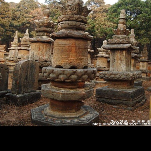 济南灵岩寺墓塔林 - 图片6