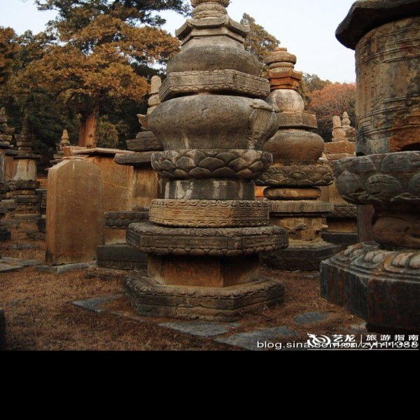 济南灵岩寺墓塔林 - 图片7