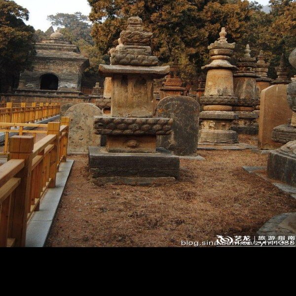 济南灵岩寺墓塔林 - 图片9