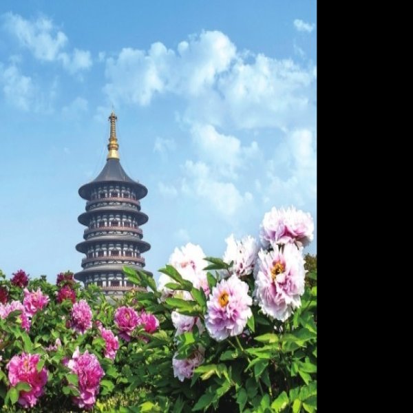 洛阳天堂 - 图片3