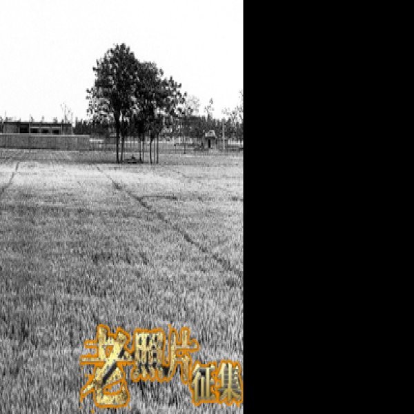 郑州大河村遗址 - 图片2