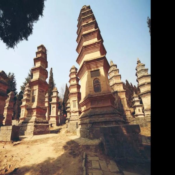 焦作少林寺 - 图片2