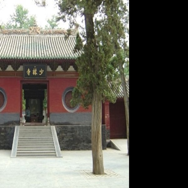 焦作少林寺 - 图片9