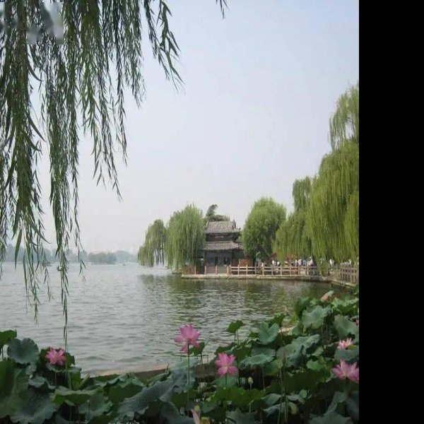 山东济南大明湖 - 图片10
