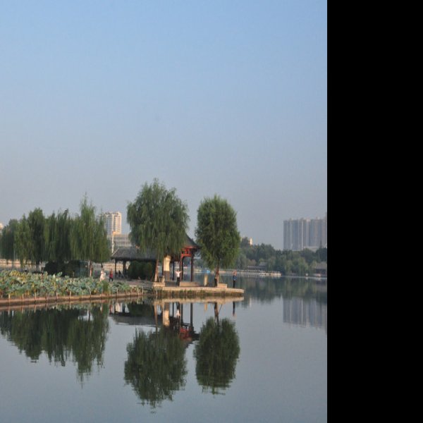 山东济南大明湖 - 图片5