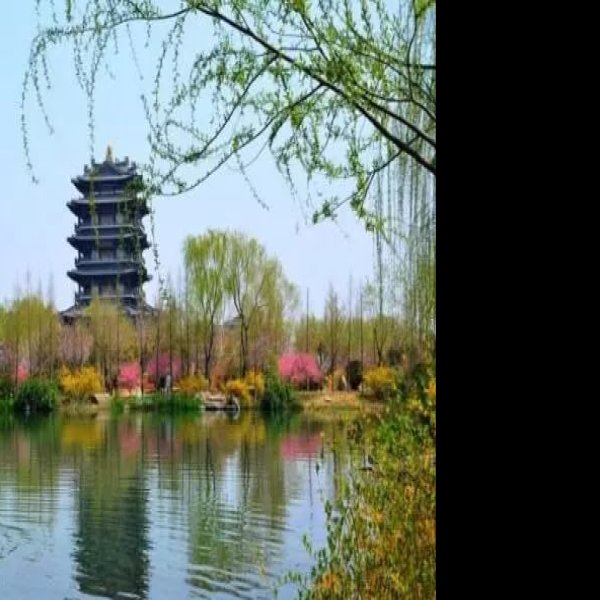 山东济南大明湖 - 图片8