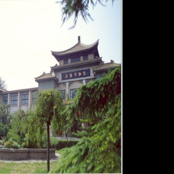 洛阳博物馆 - 图片2