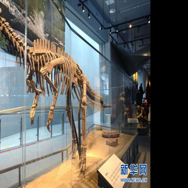 南阳博物馆 - 图片6