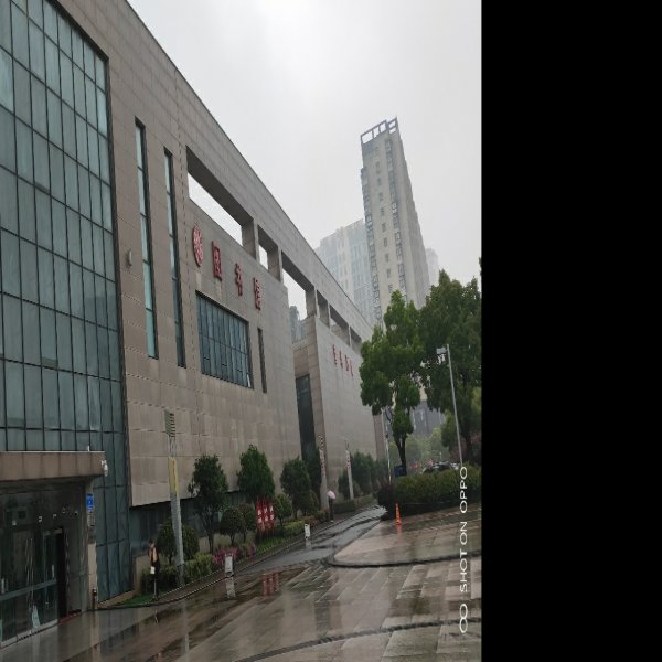 信阳博物馆 - 图片1