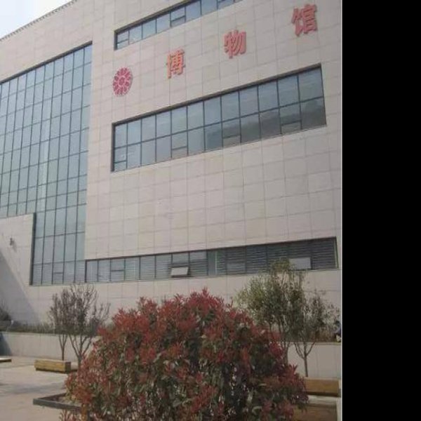 信阳博物馆 - 图片3