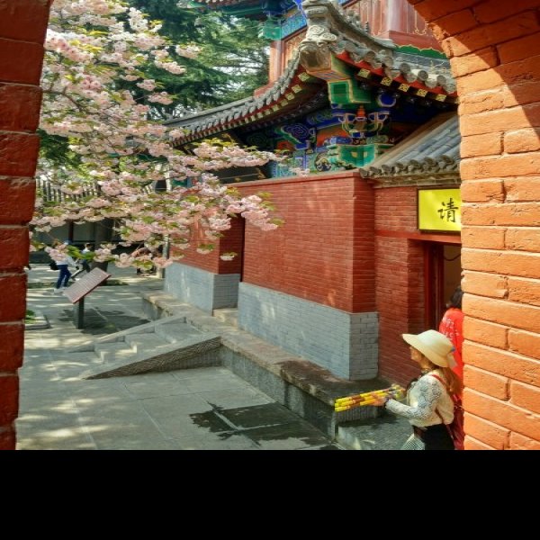 洛阳白马寺大雄宝殿 - 图片8