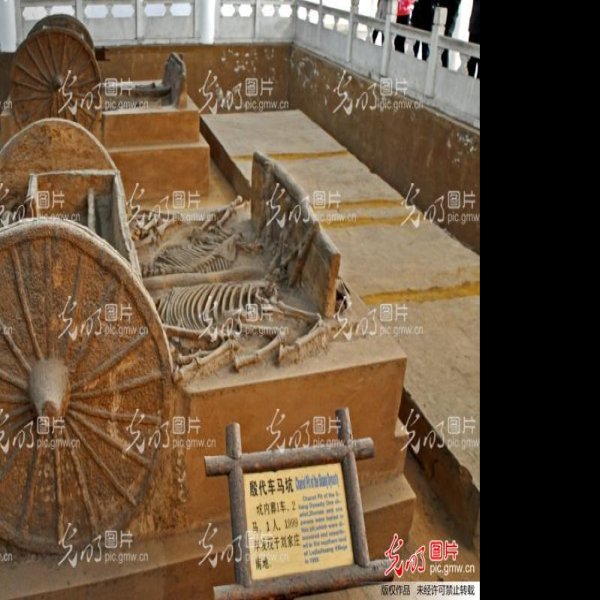 安阳殷墟车马坑 - 图片3