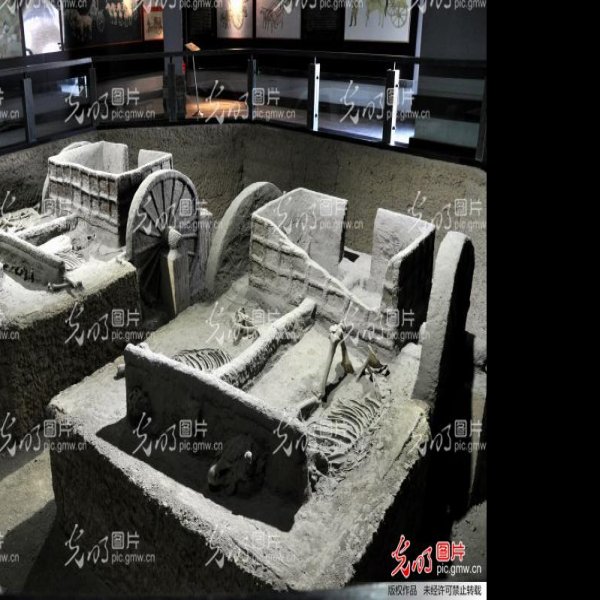 安阳殷墟车马坑 - 图片5