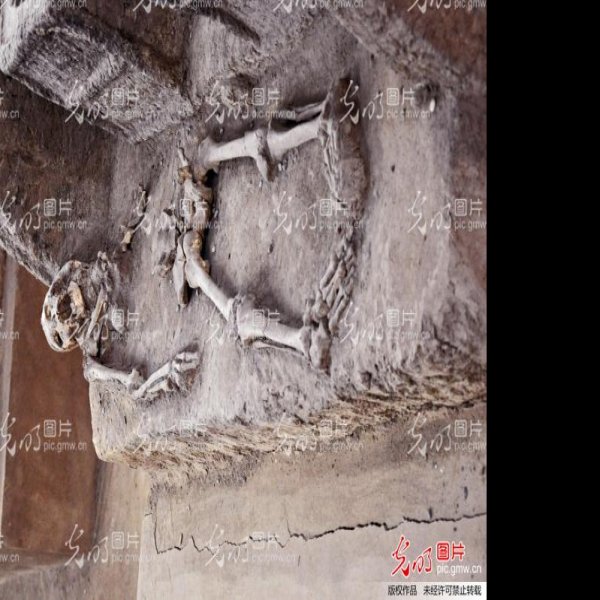 安阳殷墟车马坑 - 图片8