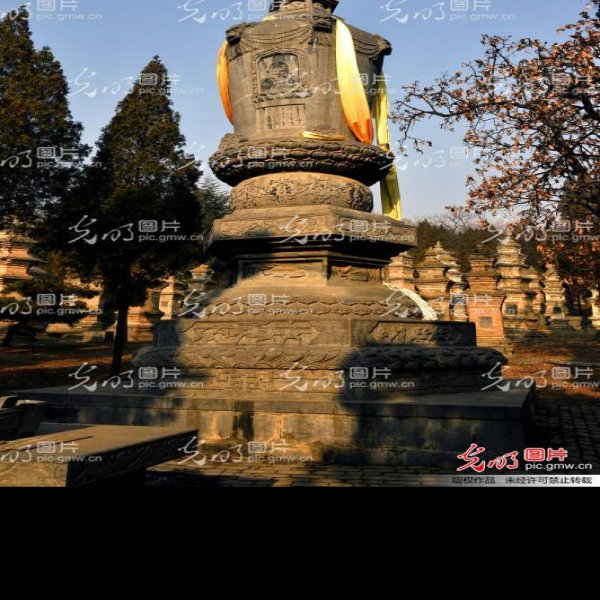 登封少林寺塔林 - 图片10