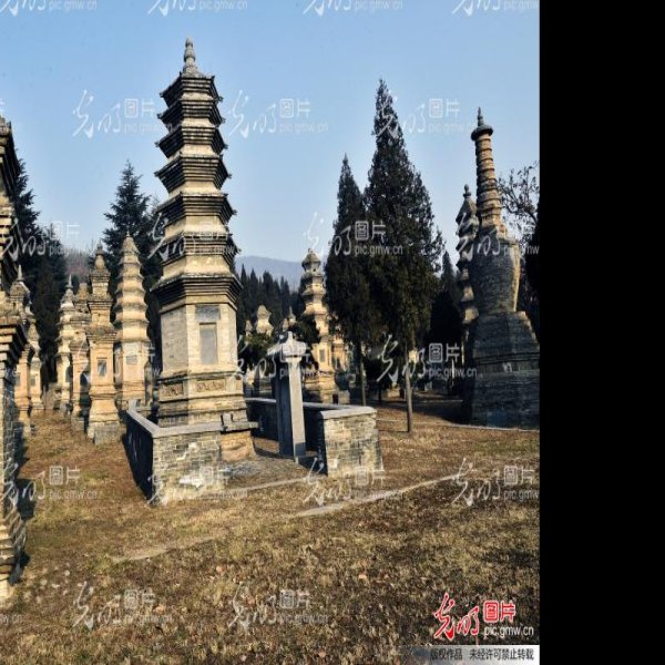 登封少林寺塔林 - 图片3