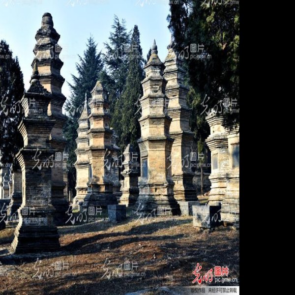 登封少林寺塔林 - 图片4