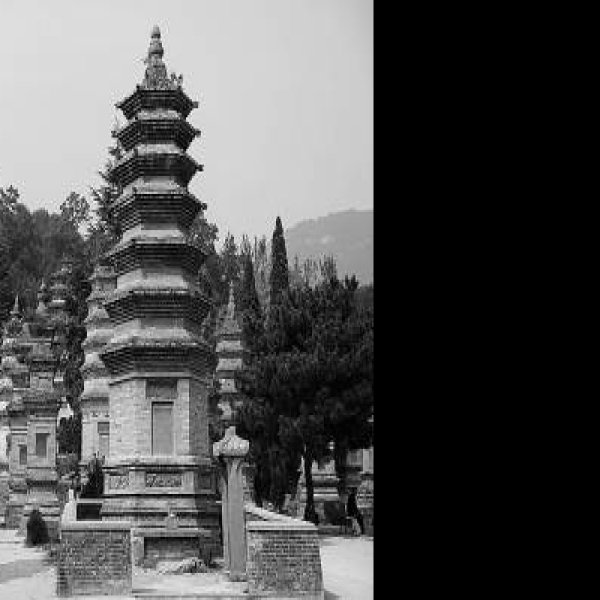 登封少林寺塔林 - 图片7