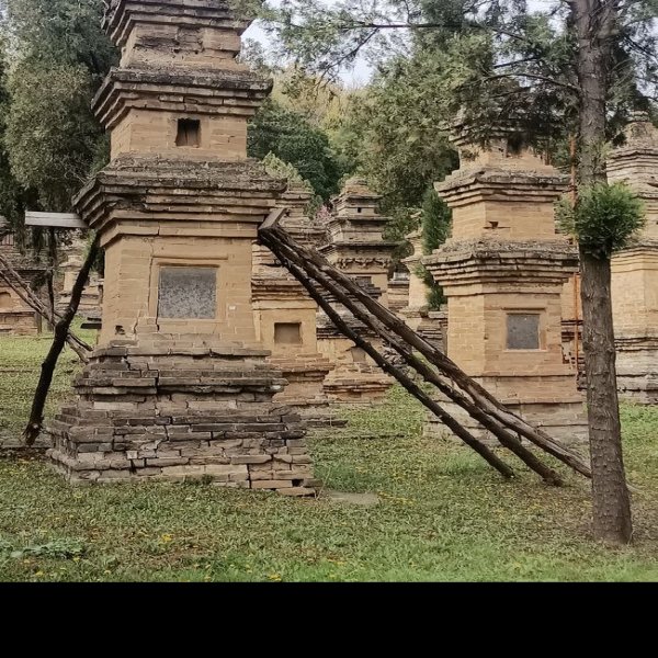 登封少林寺塔林 - 图片8