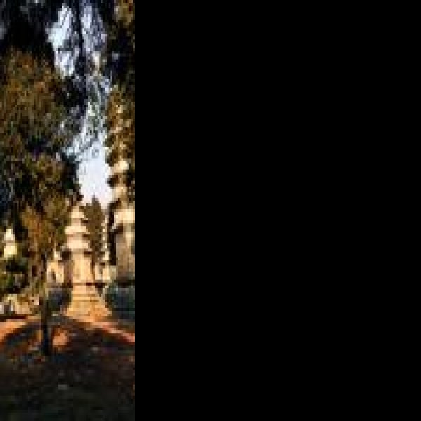 登封少林寺塔林 - 图片9