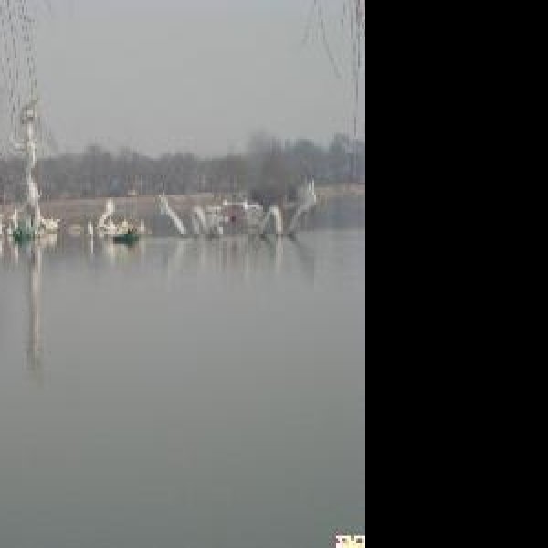 周口淮阳龙湖 - 图片3
