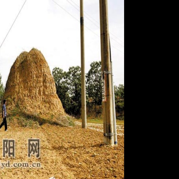 洛阳邙山陵墓群 - 图片8